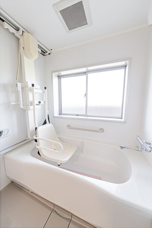 Elderly Bathroom Safety detail
